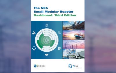 Nuclearis on 2025 NEA SMR Dashboard